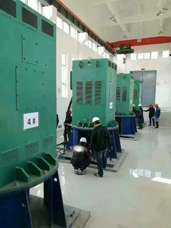 南江某污水处理厂使用我厂的立式高压电机安装现场